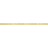 Стекло Bisazza Fregi Riga Oro Giallo 20 2x100