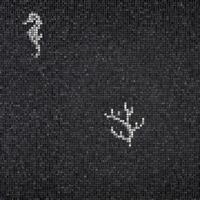 Стекло Bisazza The Crystal Collection Corals And Seahorses Black 0.97x0.97