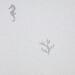 Стекло Bisazza The Crystal Collection Corals And Seahorses White 0.97x0.97