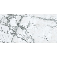 Керамогранит Caesar Anima Ever Invisible Light 60x120