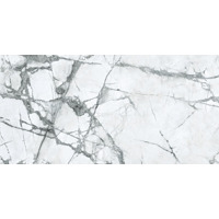 Керамогранит Caesar Anima Ever Invisible Light Lucidato 60x120