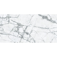 Керамогранит Caesar Anima Ever Invisible Light Lucidato 80x160