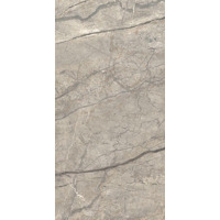 Керамогранит Caesar Anima Futura Amazing Silver Luc 60x120