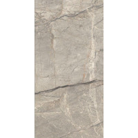 Керамогранит Caesar Anima Futura Amazing Silver Matt 60x120