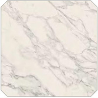 Керамогранит Caesar Anima Select Bianco Arabesco Ottagono Lucidato 60x60