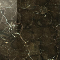 Керамогранит Caesar Anima Dark Emperador Rett Lucidato 60x60