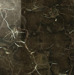 Керамогранит Caesar Anima Dark Emperador Rett Lucidato 60x60