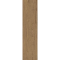 Керамогранит Caesar Fabula Theca Rt 30x120