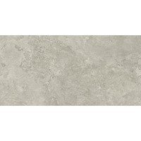 Керамогранит Caesar Portraits Newport Matt 60x120