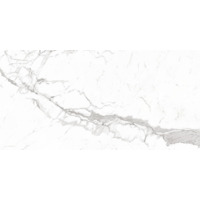 Керамогранит Caramelle Marble Statuario Venato Pol 60x120