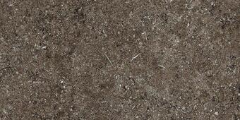 Керамогранит Casa Dolce Casa Sensi Brown Fossil 40x80