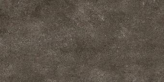 Керамогранит Casa Dolce Casa Sensi Brown Fossil 6 mm 120x240