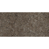 Керамогранит Casa Dolce Casa Sensi Brown Fossil R-Ptv 40x80