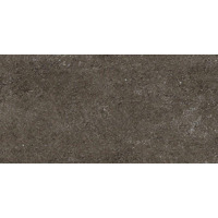 Керамогранит Casa Dolce Casa Sensi Brown Fossil R-Ptv 60x120