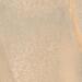 Керамогранит Casalgrande Padana Amazzonia Dragon Beige Grip 30x30
