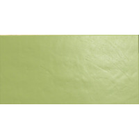 Керамогранит Casalgrande Padana Architecture Acid Green Levigato 30x60