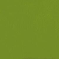 Керамогранит Casalgrande Padana Caleidoscopio Pistacchio 20x20