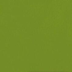 Керамогранит Casalgrande Padana Caleidoscopio Pistacchio 20x20
