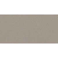 Керамогранит Casalgrande Padana Earth Grigio2 60x120