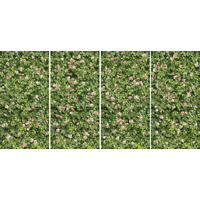 Керамогранит Casalgrande Padana Limpha Coral Rose 120x240