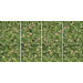 Керамогранит Casalgrande Padana Limpha Coral Rose 120x240