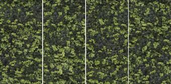 Керамогранит Casalgrande Padana Limpha Helix 120x240