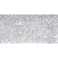 Керамогранит Casalgrande Padana Macro Grigio Lucido 60x120