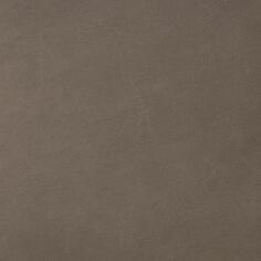 Керамогранит Casalgrande Padana Meteor Brown 60x60
