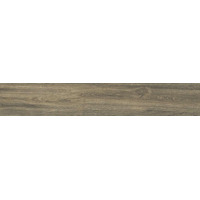 Керамогранит Casalgrande Padana Planks Muschio 20x120