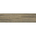 Керамогранит Casalgrande Padana Planks Muschio 30x120