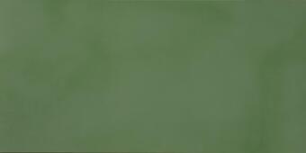 Керамогранит Casalgrande Padana R-Evolution Green R10 60x120