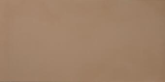 Керамогранит Casalgrande Padana R-Evolution Terra 90x180