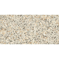 Керамогранит Casalgrande Padana Terrazzo Beige 30x60