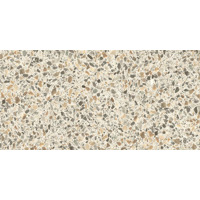 Керамогранит Casalgrande Padana Terrazzo Beige Lappato 30x60