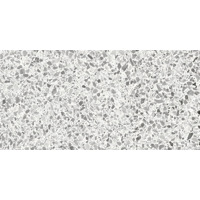 Керамогранит Casalgrande Padana Terrazzo Pearl Lappato 30x60