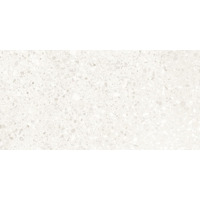 Керамогранит Casalgrande Padana Terrazzo White 37.5x75.5