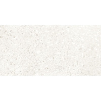 Керамогранит Casalgrande Padana Terrazzo White Lappato 37.5x75.5