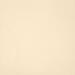 Керамогранит Casalgrande Padana Unicolore Bianco Avorio 40x40