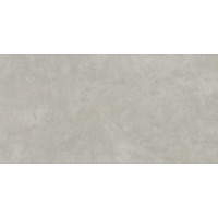 Керамогранит Cedit Archeologie Grigio Ret 120x240
