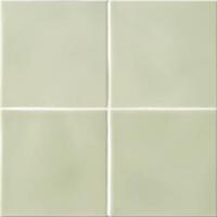 Керамика Ceramiche Grazia Essenze Felce 13x13