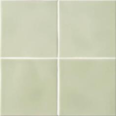 Керамика Ceramiche Grazia Essenze Felce 13x13