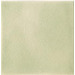 Керамика Ceramiche Grazia Essenze Felce Craquele 13x13