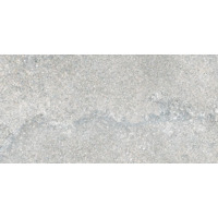 Керамогранит Cerdomus Basic Grigio 20x40