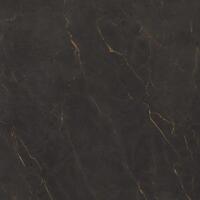Керамогранит Cerdomus Galaxia Black Levigato 120x120