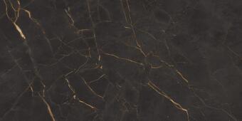 Керамогранит Cerdomus Galaxia Black Levigato 30x60