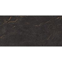 Керамогранит Cerdomus Galaxia Black Levigato 60x120