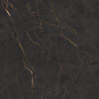 Керамогранит Cerdomus Galaxia Black Levigato 60x60