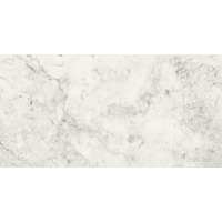 Керамогранит Cerim Exalt Fairy White Lucido 60x120