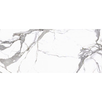 Керамогранит Cerrad Calacatta White Polerovana 119.7x279.7