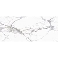 Керамогранит Cerrad Calacatta White Satyna 119.7x279.7